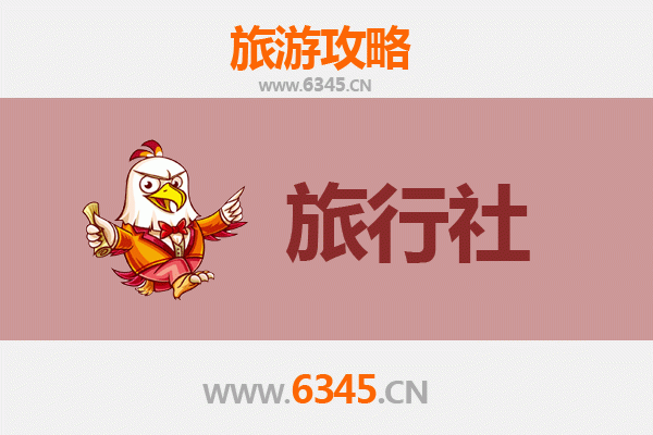 屯昌国营中坤农场旅游全攻略：本地旅行社推荐与深度体验指南